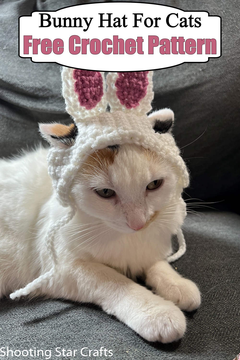 Bunny Hat For Cats