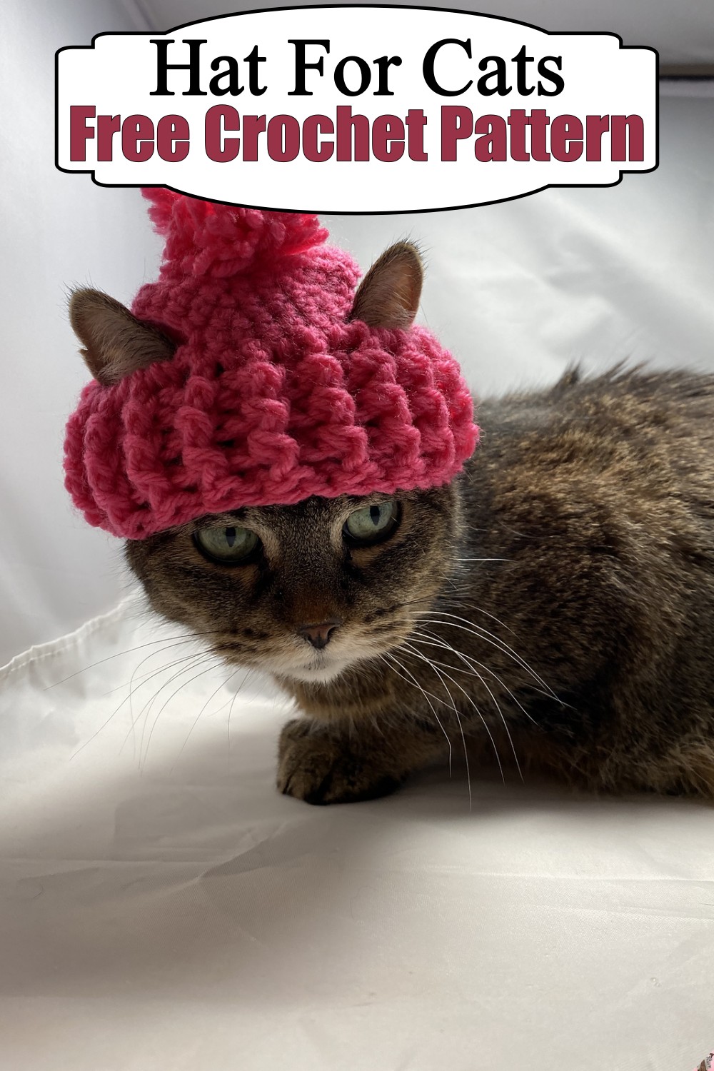 Hat For Cats