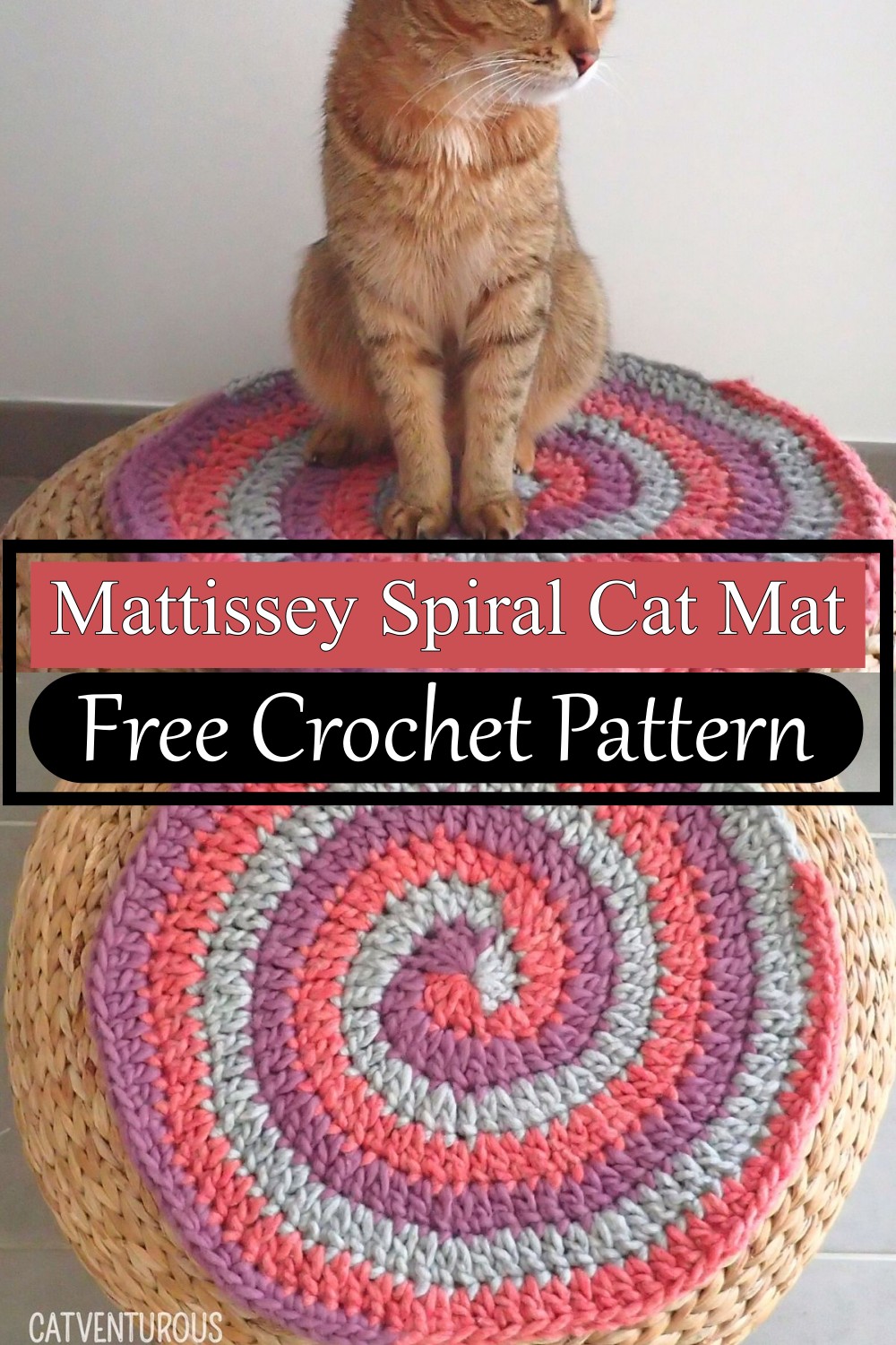 Mattissey Spiral Cat Mat