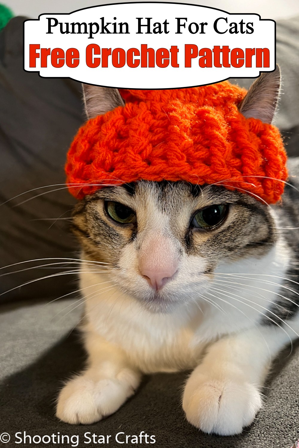 Pumpkin Hat For Cats