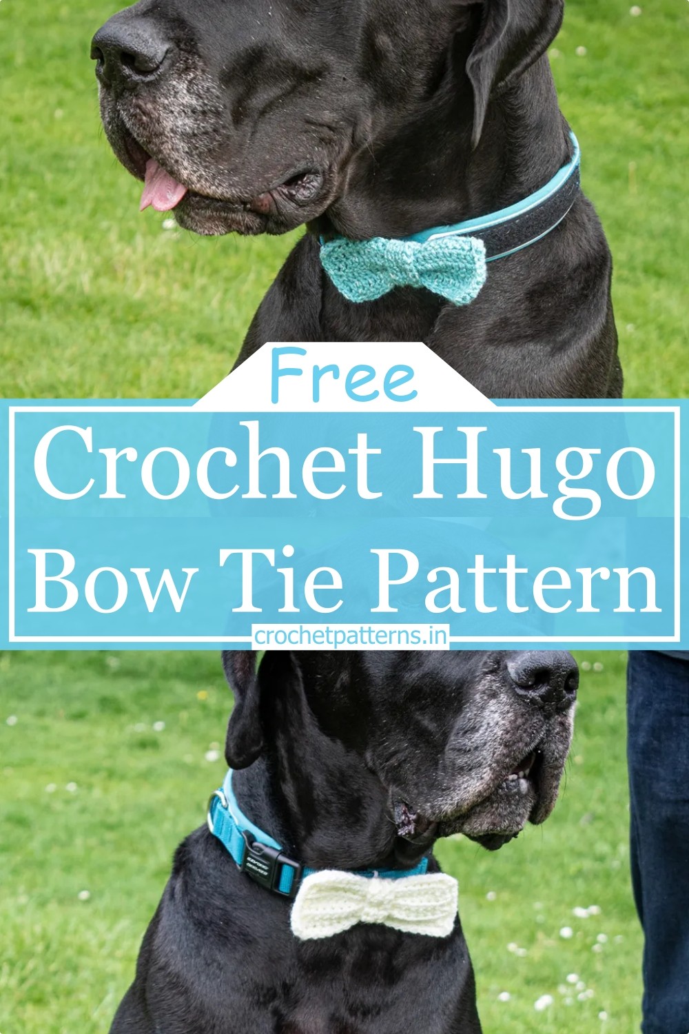 Crochet Hugo Bow Tie Pattern