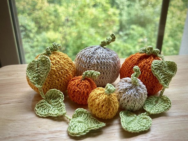  Crochet Pumpkin On A Vine Pattern