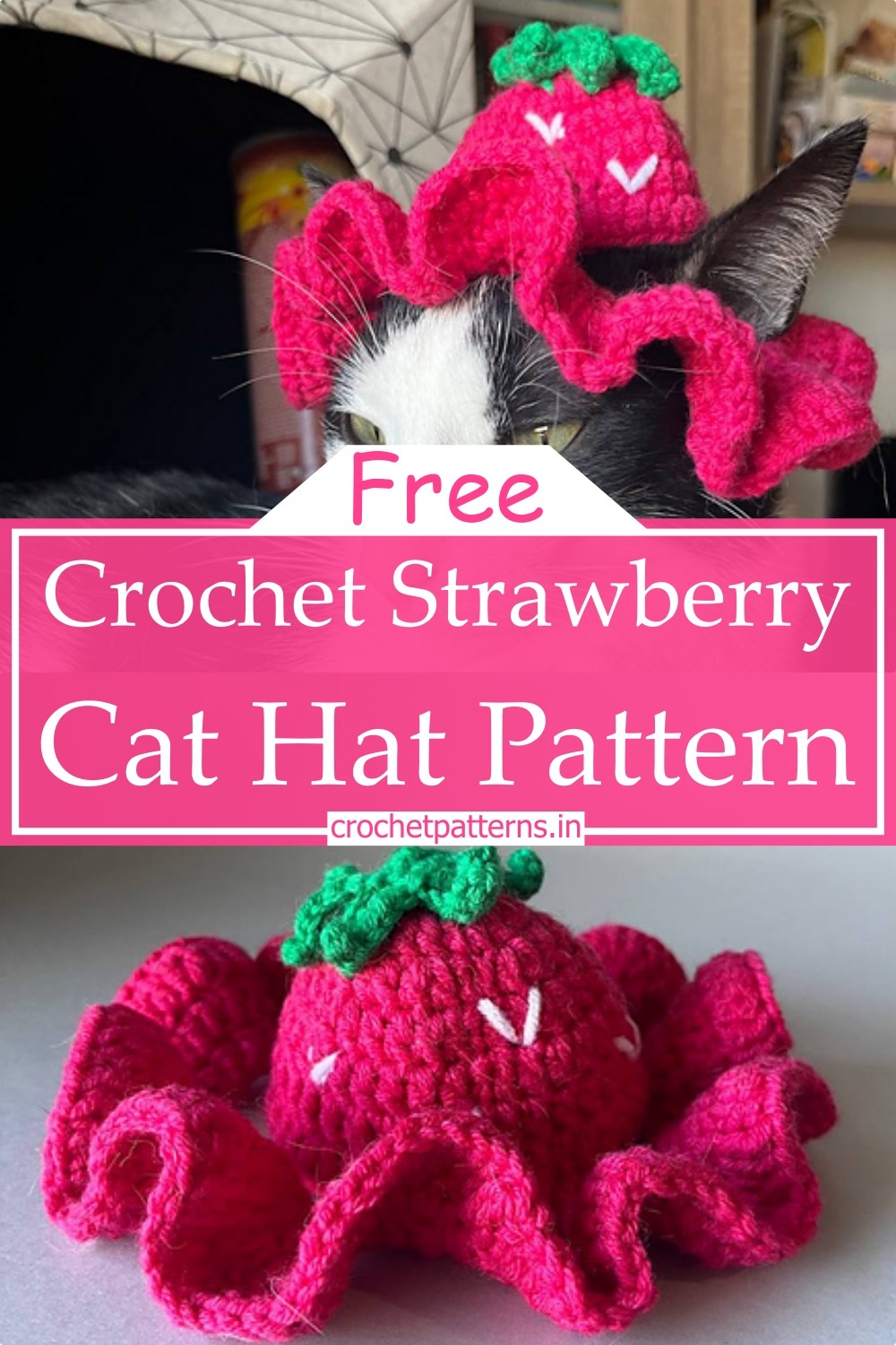 Crochet Strawberry Cat Hat Pattern