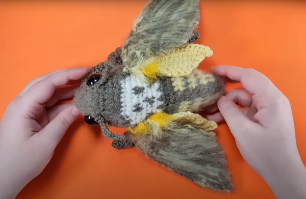How To Crochet A Deaths-head Hawkmoth