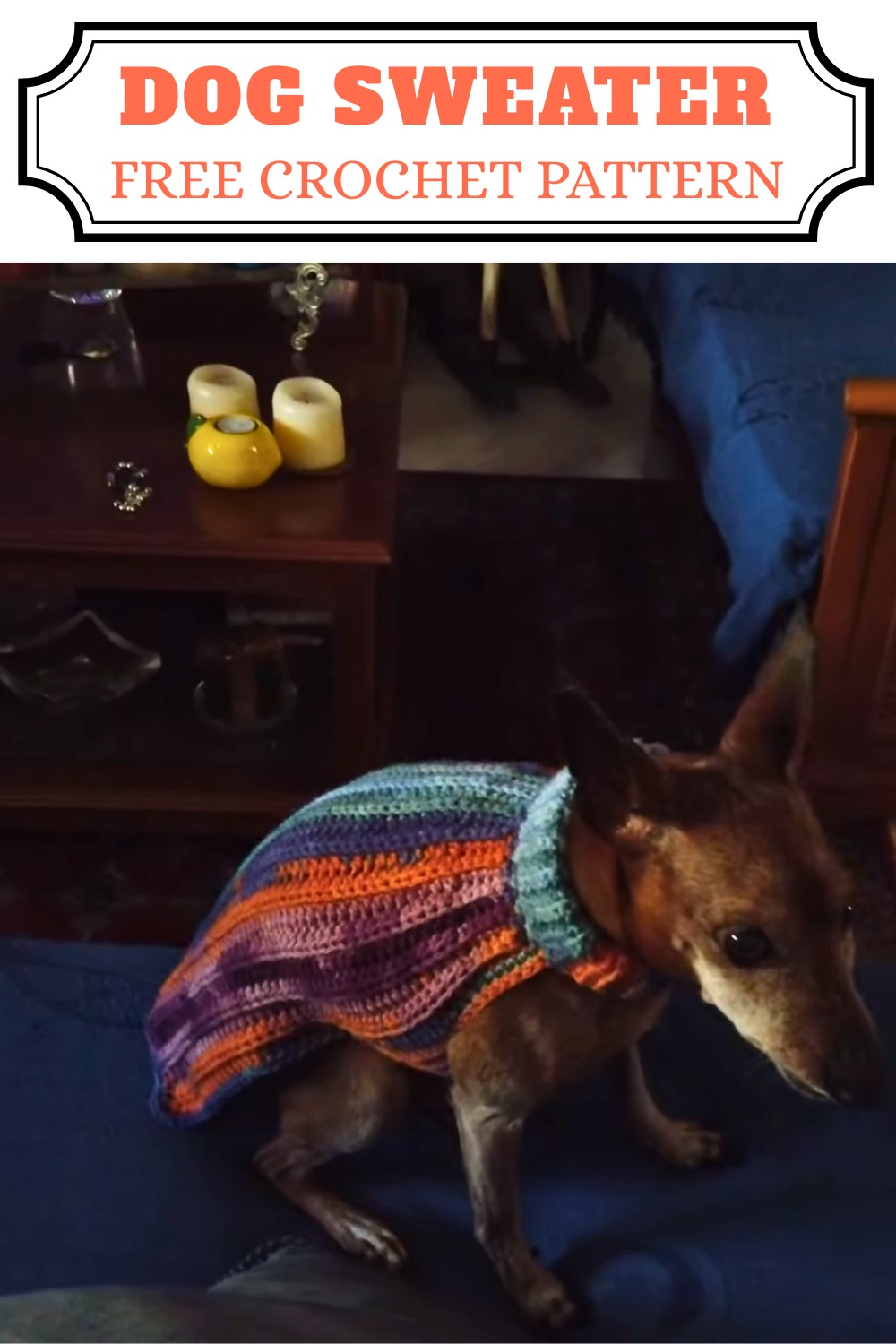 How to crochet a dog sweater