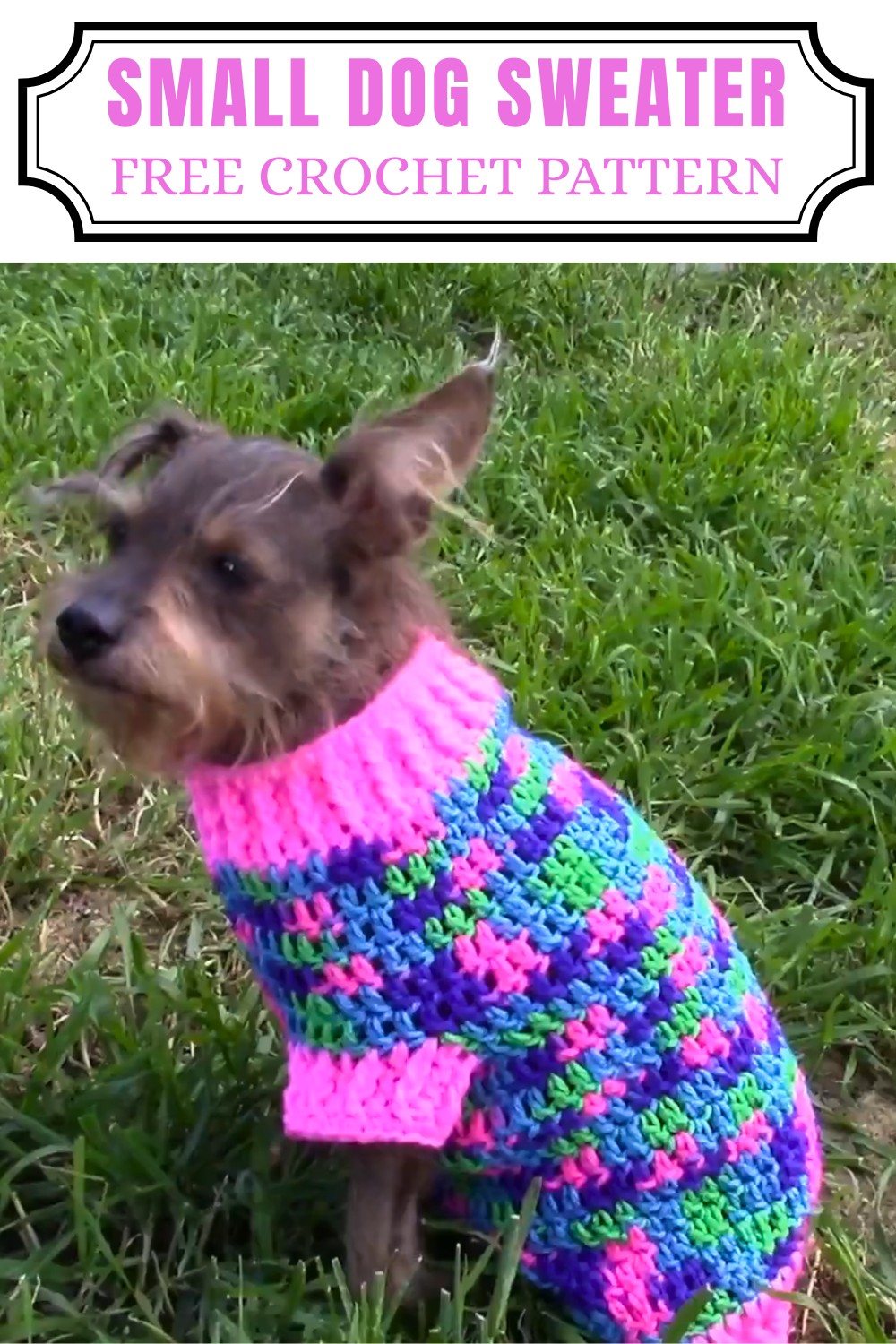 Small Dog Crochet Sweater Tutorial