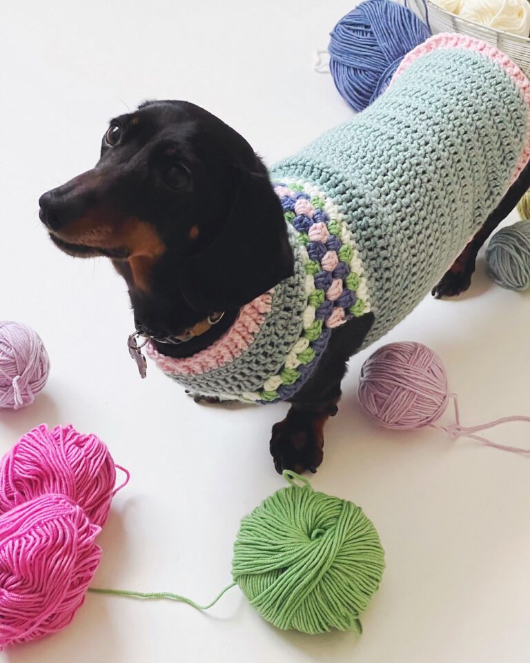 Crochet Dog Jumper Patterns For Winter Adventures
