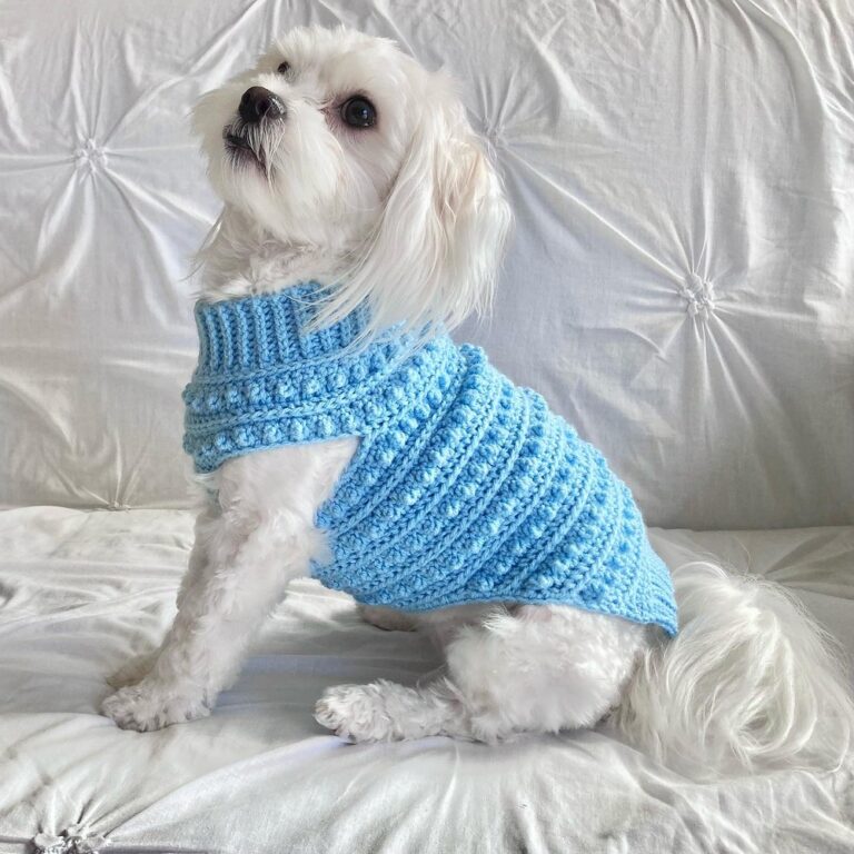 Crochet Doggy Jumper Patterns For Outdoor Adventures
