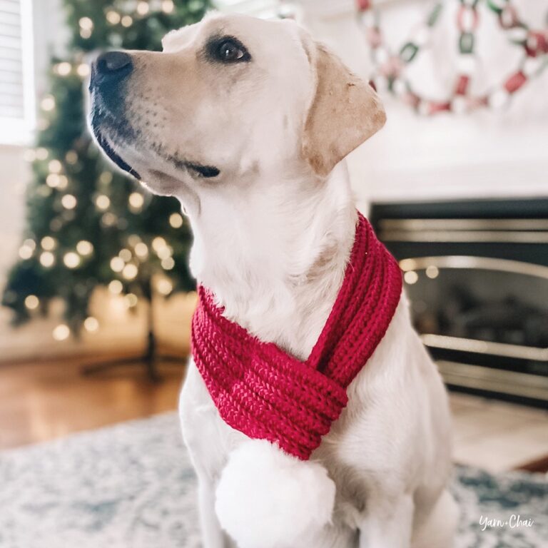 Crochet Holiday Dog Scarf Patterns (Snug and Stylish)