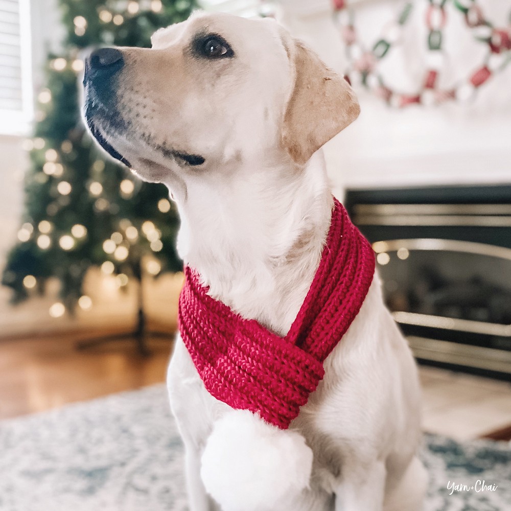 How to Crochet Maisy's Holiday Dog Scarf