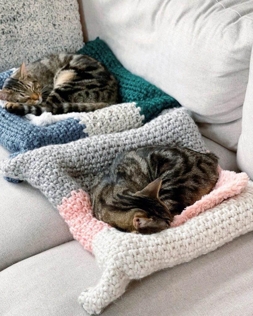 How to Crochet The Cozy Cat Bed 1