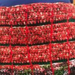 Colorful Egg Collecting Apron 1