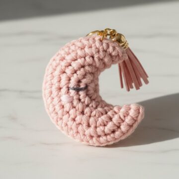 Crochet Moon Pattern 1