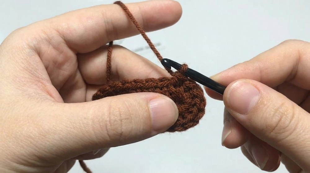 Crochet Lion Hat for Pet Instructions for crocheting a lion hat for dogs .7