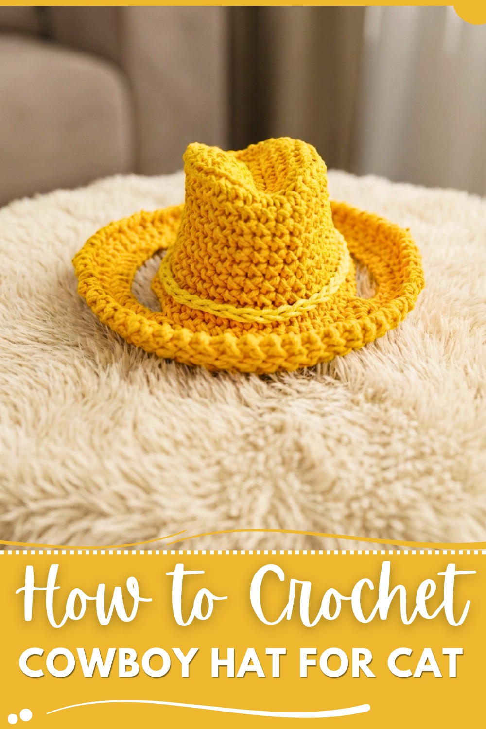 Crocheted cowboy hat for cat (easy) (1)
