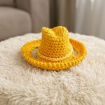 Crocheted cowboy hat for cat (easy) (8)