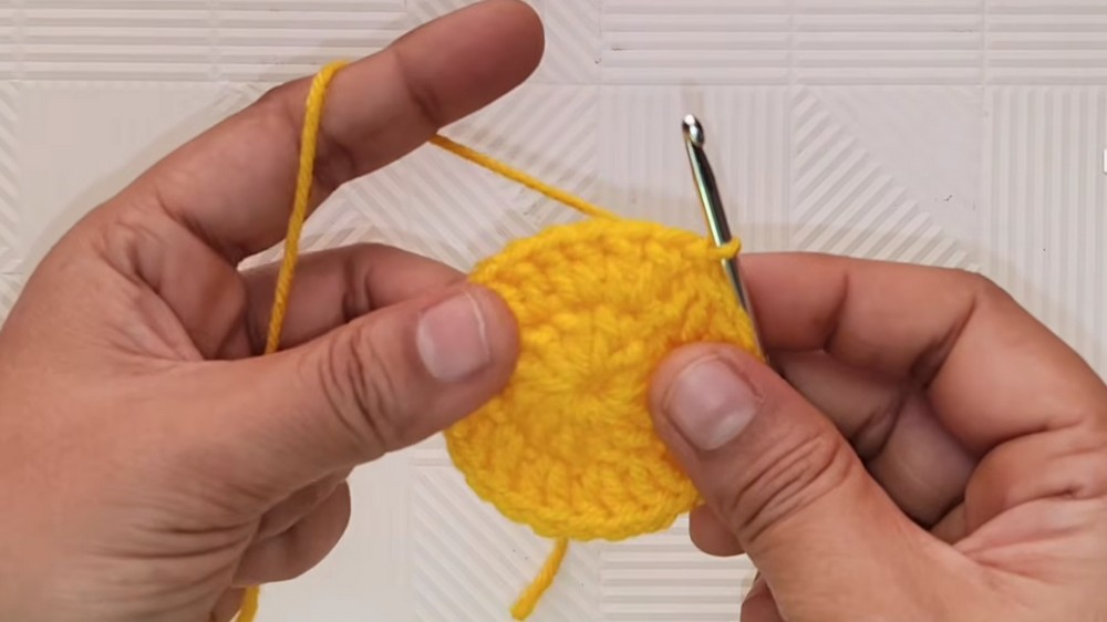 Crochet Bunny Amigurumi Pattern 2