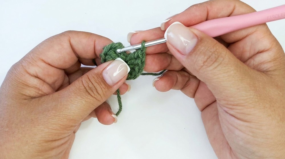 Crochet Turtle Amigurumi Pattern 1